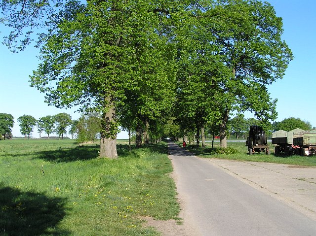Bild 054